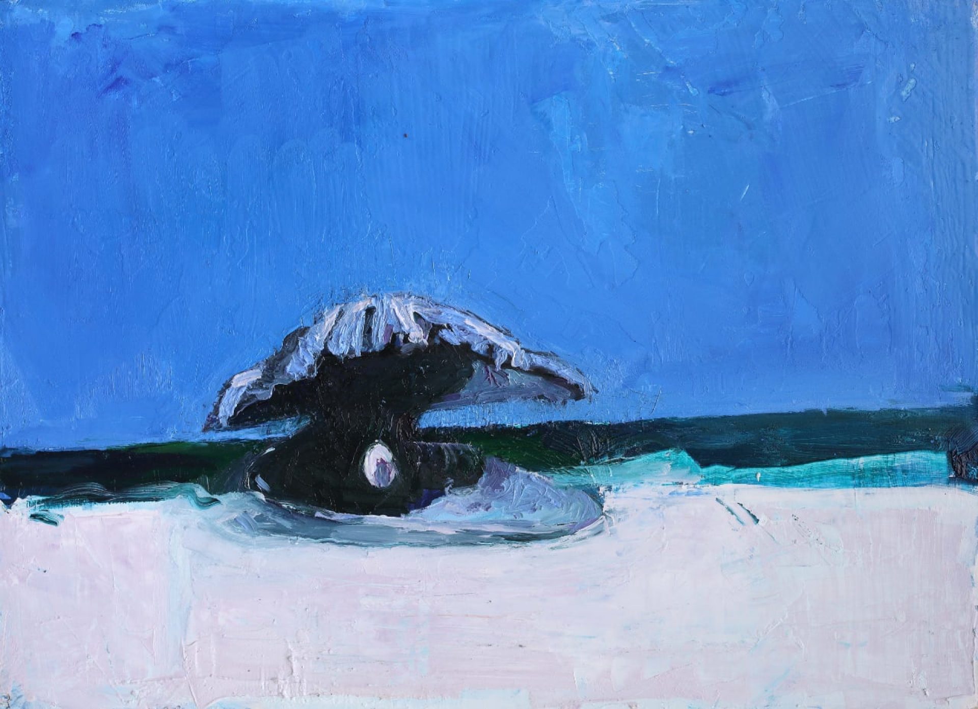 The pearl is the disease of the shell