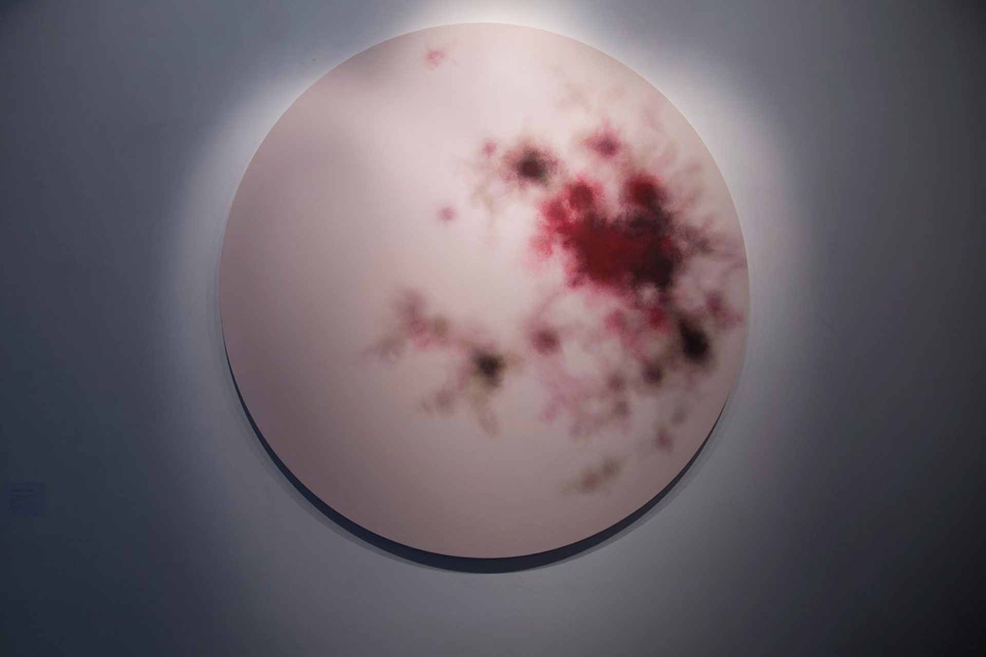 Through hardship to the stars