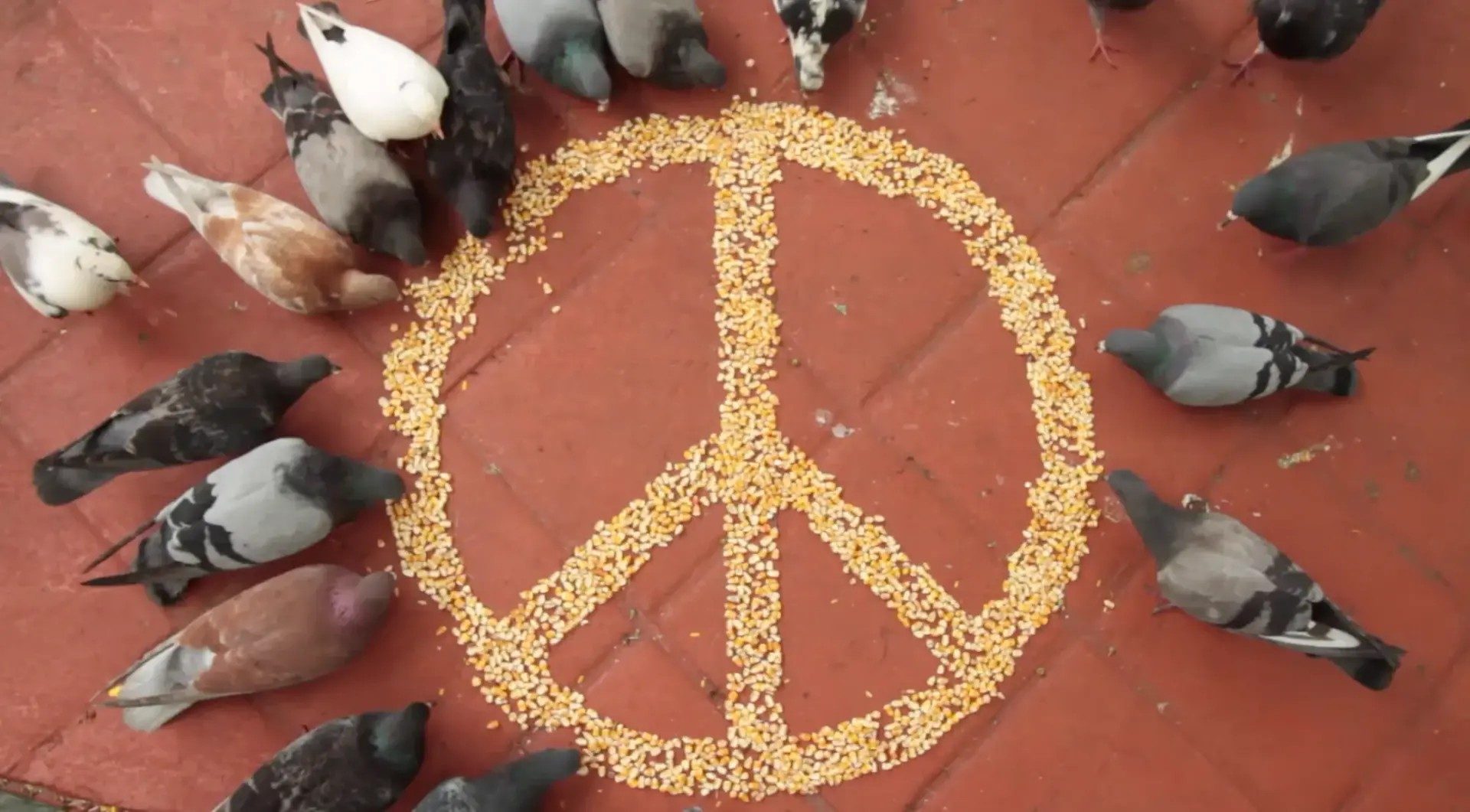 Dystopian futures and contemporary memories