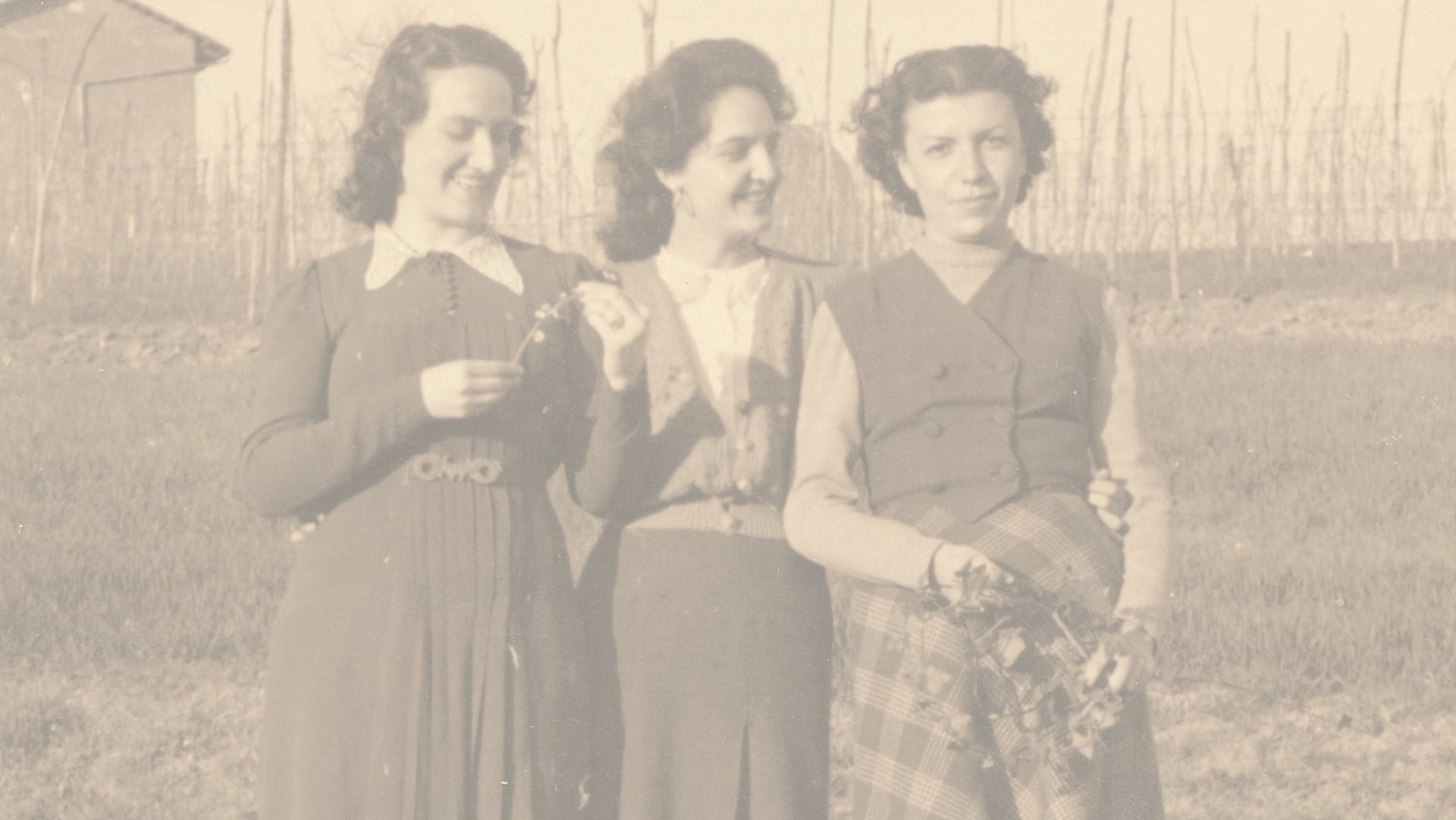 Useless photographs, a cycle-distributed photographic archive