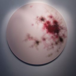 Through hardship to the stars