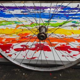 (bi)Cycles of life and peace