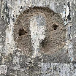 Faces Everywhere