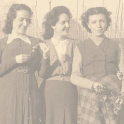 Useless photographs, a cycle-distributed photographic archive