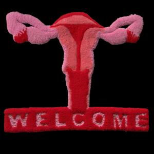 Welcome, 2022, 100% lana e misto lana, 70x80cm