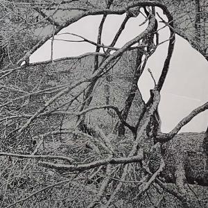 Staedtler 2, 2022, Inchiostro su tela, 170x200cm