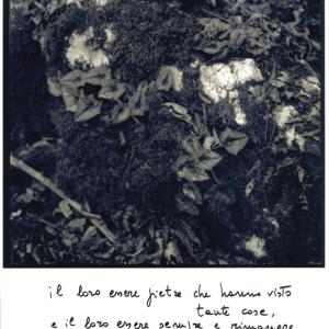 Soratte 086, 2017, Stampa ink-jet con manoscritto, 30x40cm