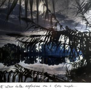 laghetto  degli alfieri 1, 2015, Stampa lambda  su carta chimica con passepartout manoscritto, 60x90cm