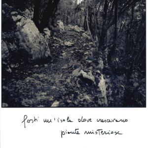 Soratte 088, 2017, Stampa ink-jet con manoscritto, 30x40cm