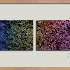 Densità spettrale #2 (dittico), 2008, Acquerello, guache e polvere dâ€™oro su carta , 33x61x2,5cm