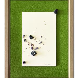 Anatomia del caso #3, 2009, Dadi, feltro, carta, 32x24,5x2,5cm