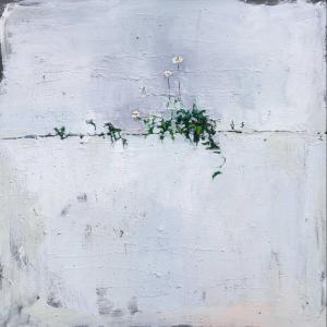 Fragilità e forza della natura, 2024, Olio su tela, 70x70cm